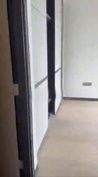 Perfect Ten (D10), Apartment #631003091